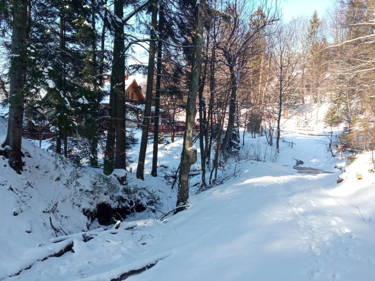 Przystanek Lesna Apartment Targanice Bagian luar foto