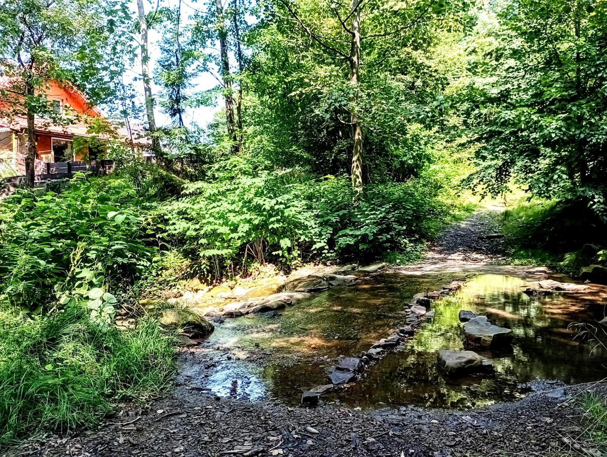 Przystanek Lesna Apartment Targanice Bagian luar foto